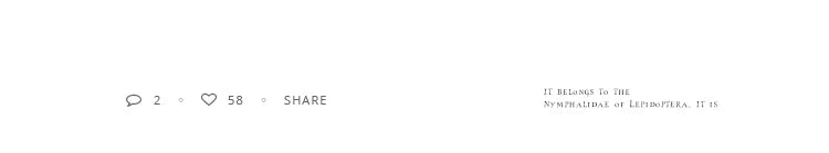 Anillos Geométricos Oro Rosa Minimalistas - Coreano Fashion Goth Mujer