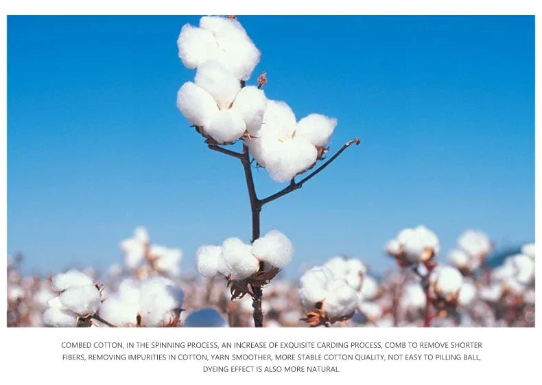 Vaqueros Blancos Hombre Slim Elásticos - Jeans Rectos Business Casual Alta Gama