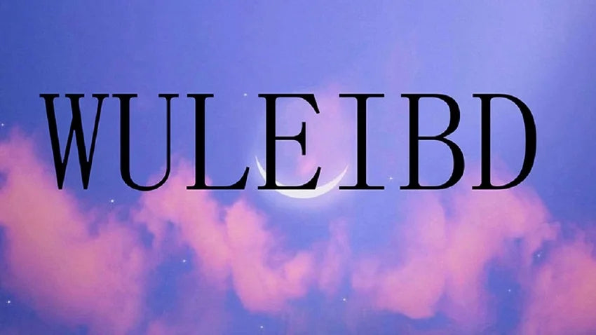 Sudadera Oversized Mujer Japonesa - Hoodie Y2K Vintage Zipper 2025