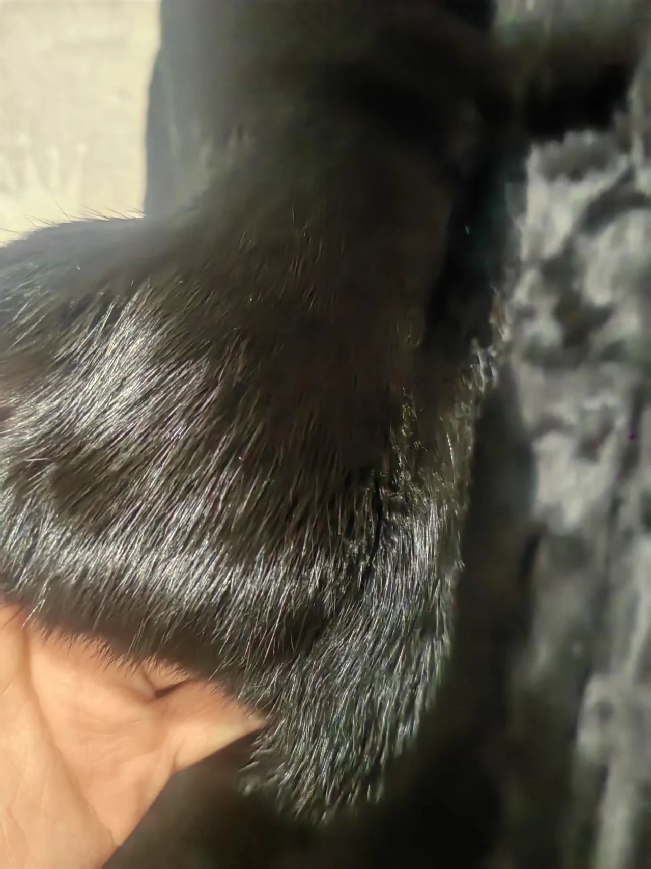 Abrigo Piel Conejo Rex Mujer - Abrigo Largo Cuello Zorro Fashion Invierno