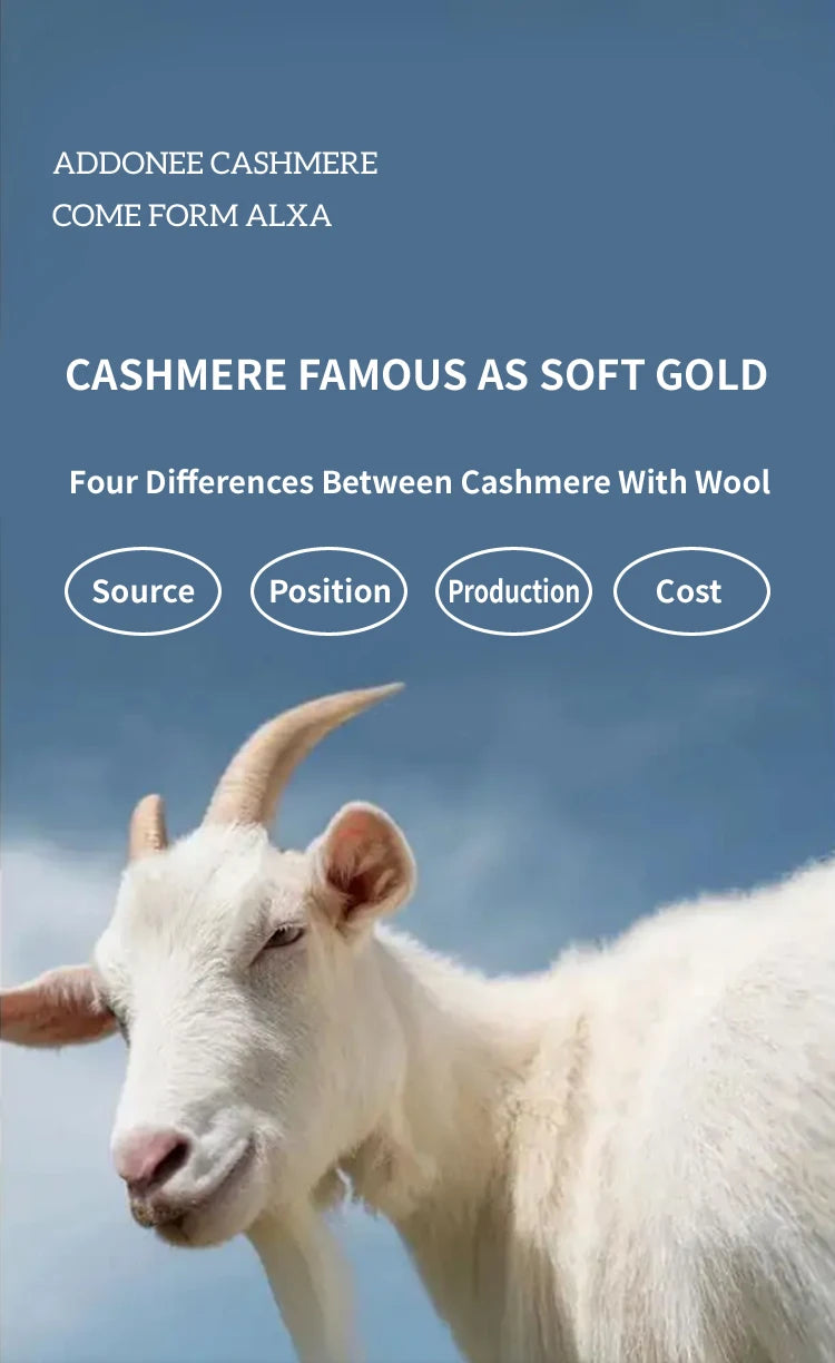 Sudadera Mujer Cashmere Capucha 100% - Pullover Punto Otoño Invierno Lujo